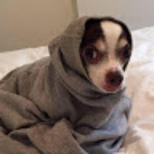 Meet your Posher, Lori